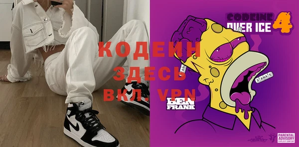 индика Белая Холуница